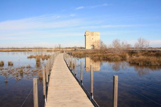 Vacances En Camargue Proche De La Mer Climatise Айга-Мортас Екстериор снимка
