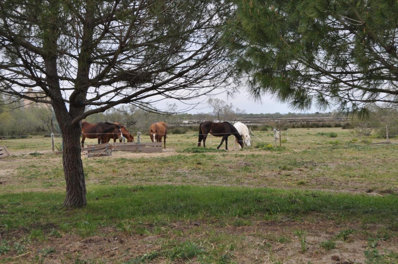 Vacances En Camargue Proche De La Mer Climatise Айга-Мортас Екстериор снимка